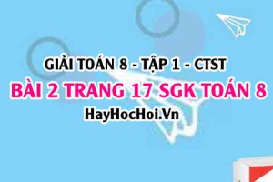 Giải bài 2 trang 17 Toán 8 Tập 1 SGK Chân trời sáng tạo